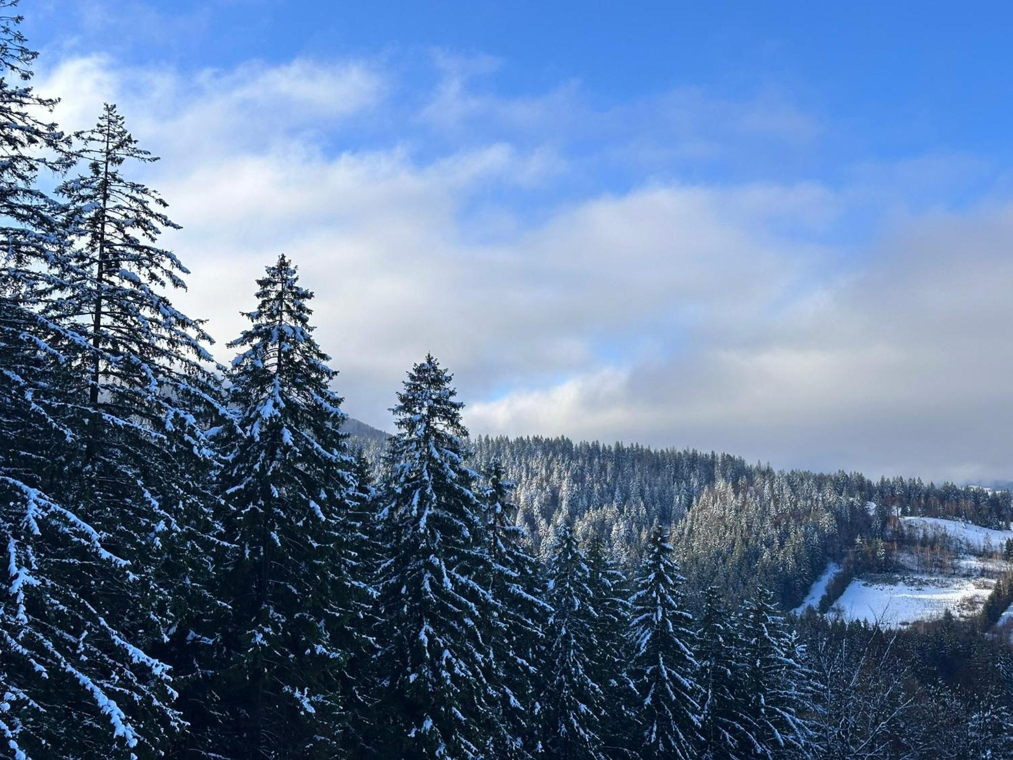 The Pines Bucegi Lodge Bran  Eksteriør bilde